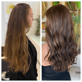 Highlights